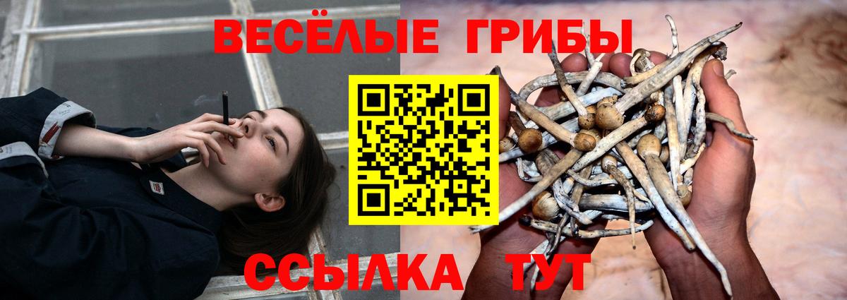 Псилоцибиновые грибы прущие грибы  Вход с VPN  Белореченск 